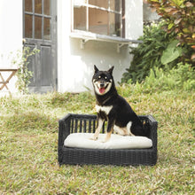 Load image into Gallery viewer, Indoor Outdoor Rattan Cat or Small Dog Bed Sofa Water Resistant TapClickBuy