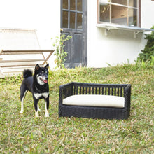 Load image into Gallery viewer, Indoor Outdoor Rattan Cat or Small Dog Bed Sofa Water Resistant TapClickBuy